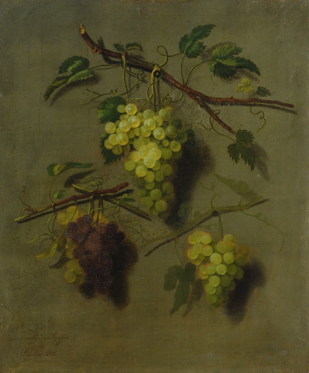 Still Life by Dominicus Van der Smissen