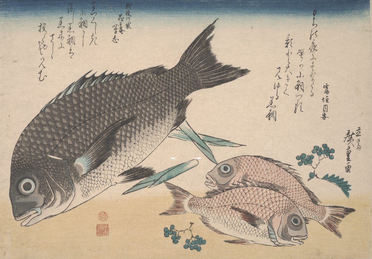 Black Sea Bream, Small Sea Bream, Asparagus Shoots, and Sansho Pepper, c.1830 by Utagawa Hiroshige