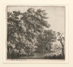 The Wooded Island