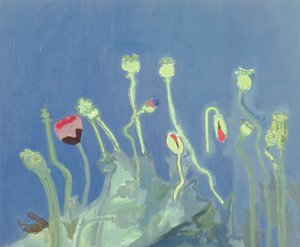 Poppyheads