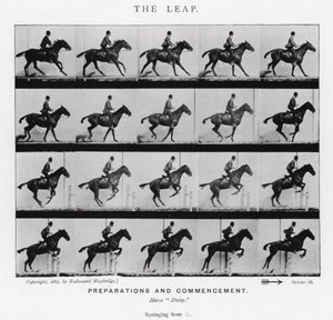 Eadweard Muybridge: The Leap (b/w photo)