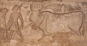 Man Pulling a Cow, Horus Temple, Edfu