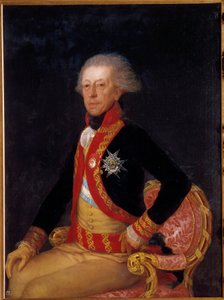 Portrait of General Don Antonio Ricardos