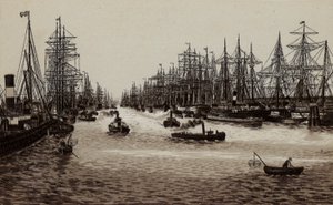 Hamburg: The Harbour