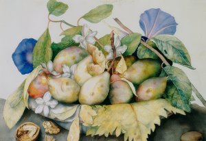 Plate with Plums, Jasmine, and Walnuts