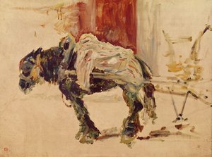 A Draft Horse at Céleyran