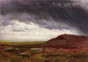 Moorland