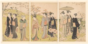 Admiring the Cherry Blossoms at Asukayama