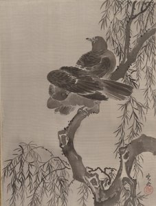 Two Birds on a Branch