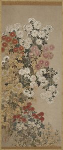 Chrysanthemums