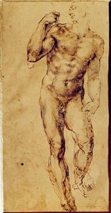 Study of a Standing Nude Man