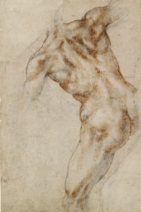 Nude Male Torso, Early 16th Century