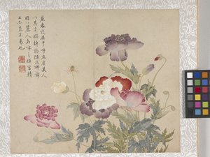 8 Leaf Album of Flowers, mid 1700s