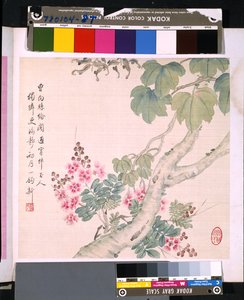 Album of Flowers and Birds