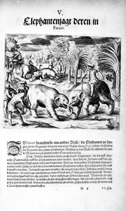 Elephants Fighting, 1606