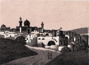 Palestine: view of the city of Jerusalem. The world illustrates 168 views. Undated (late 19th century)