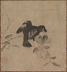 Crow on a Pomegranate