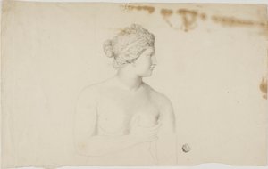 Study of the Medici Venus