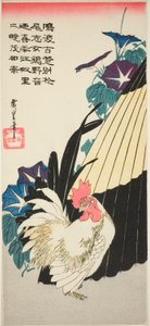 Rooster, Umbrella, and Morning Glories
